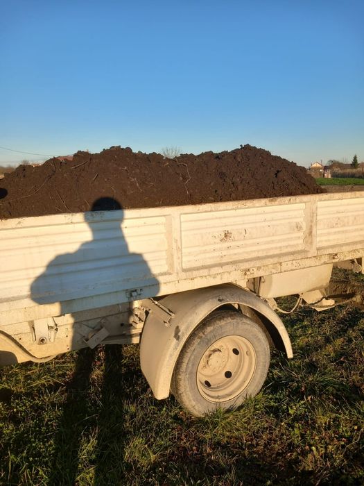 Gunoi de grajd vechi de vacă și bivol    calitate foarte bună