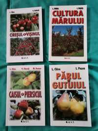Cărți cultura pomilor fructiferi mărul parul gutuiul cireșul visinul