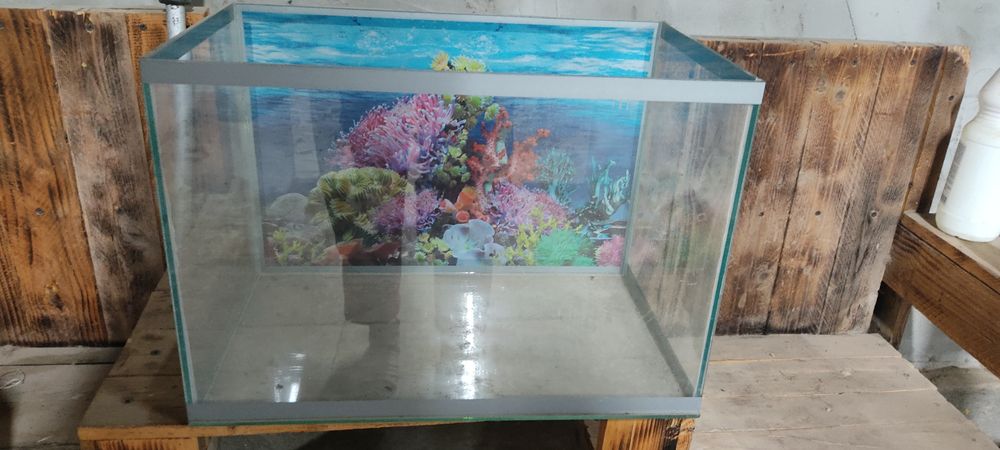 Аквариум в отличном состоянии.