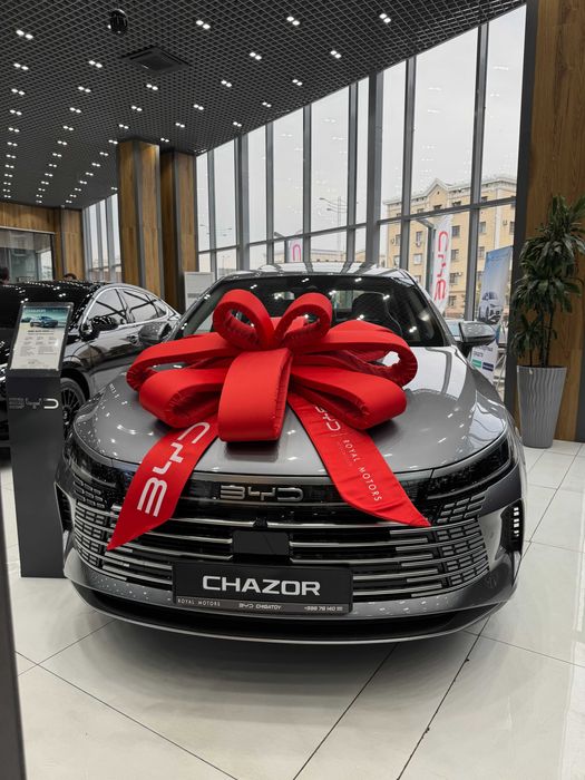 BYD Chazor Champion Active