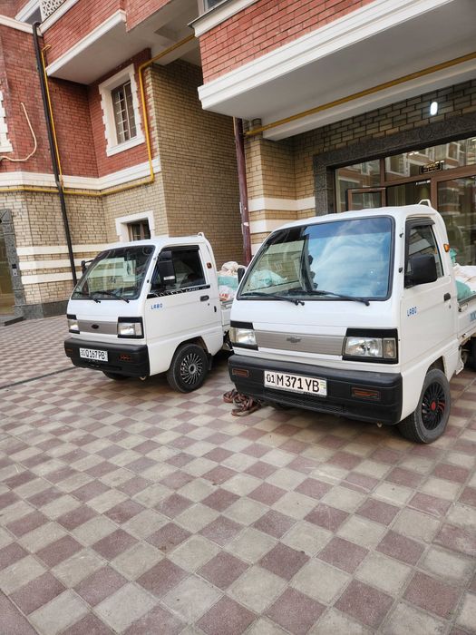 Musur tashish xizmati musir olib ketish