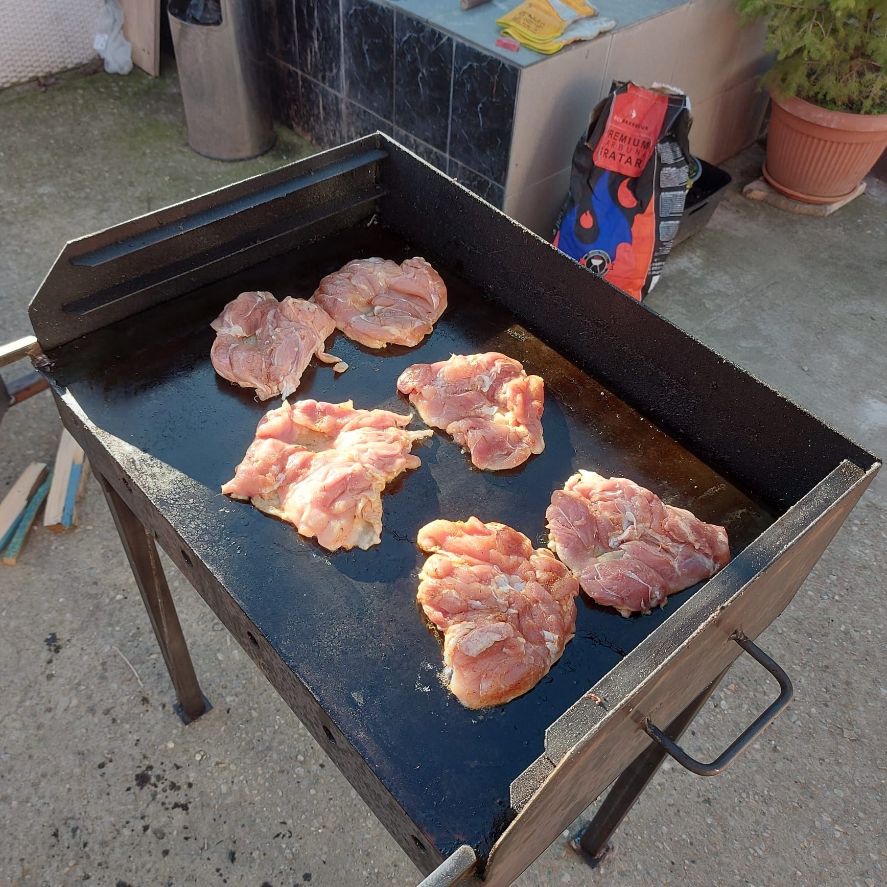 Plita pentru fripturi de peste, legume, carne!!