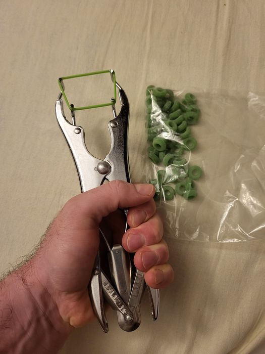 Cleste ecornare/castrare prin aplicare inele de cauciuc + 50 de inele