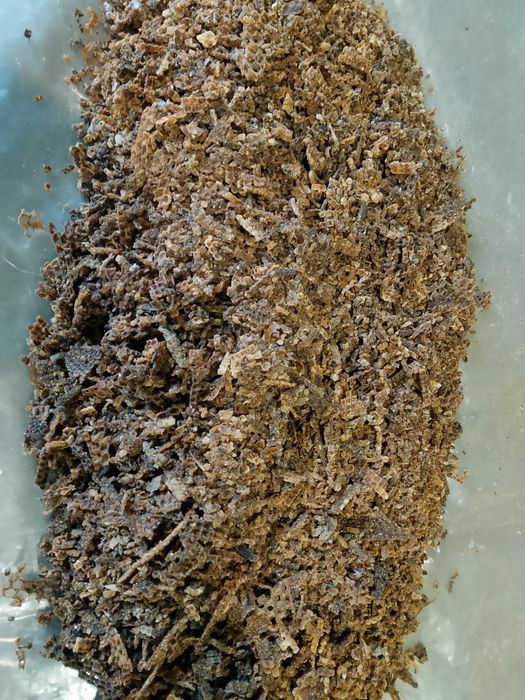 Пчелен клей от мрежи