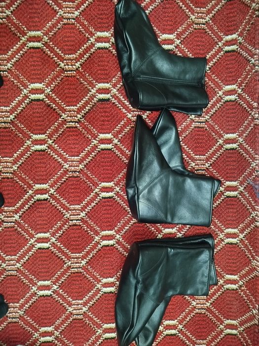 Paypoq Maxsi Mol Teri mexsiz