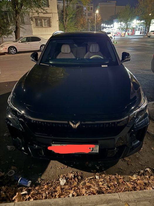 Voyah Free Appolo Tech 2024 Qora