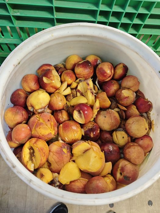 Плодове и Зеленчуци за животни