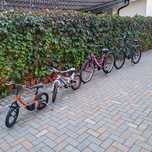 Set 4 biciclete familie – copii & adulți – Brașov