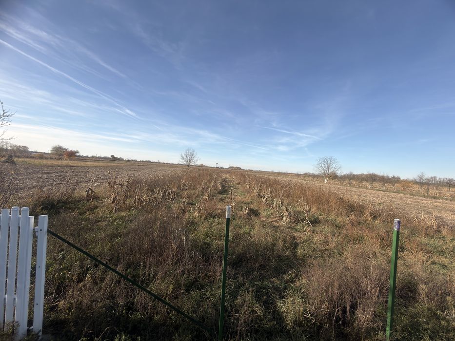 Teren de vanzare Micula