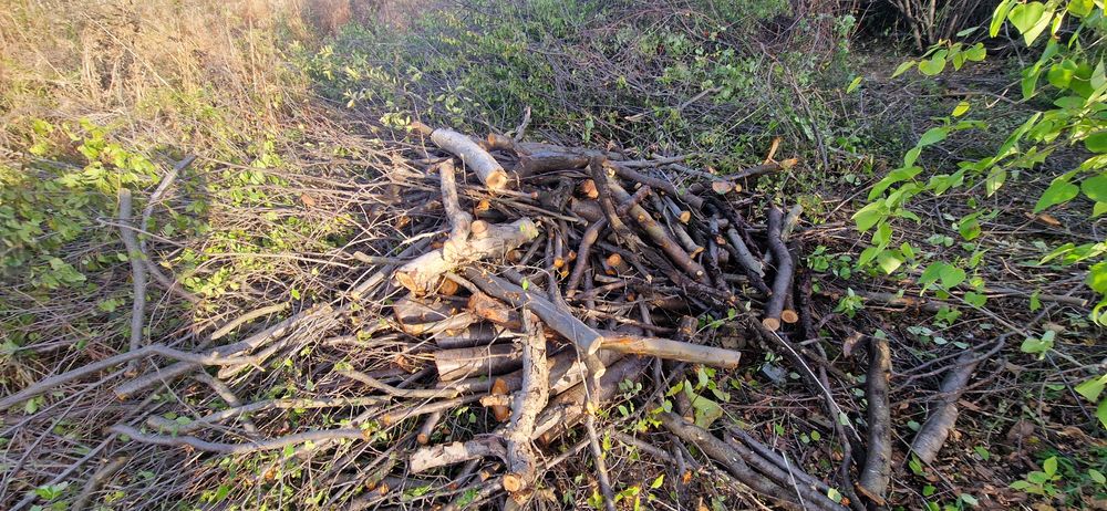 Безплатно/ Дърва за огрев различни видове,нарязани.