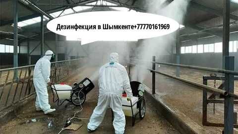 Шымкент дезинфекция