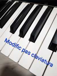 Modific Pas Claviatura