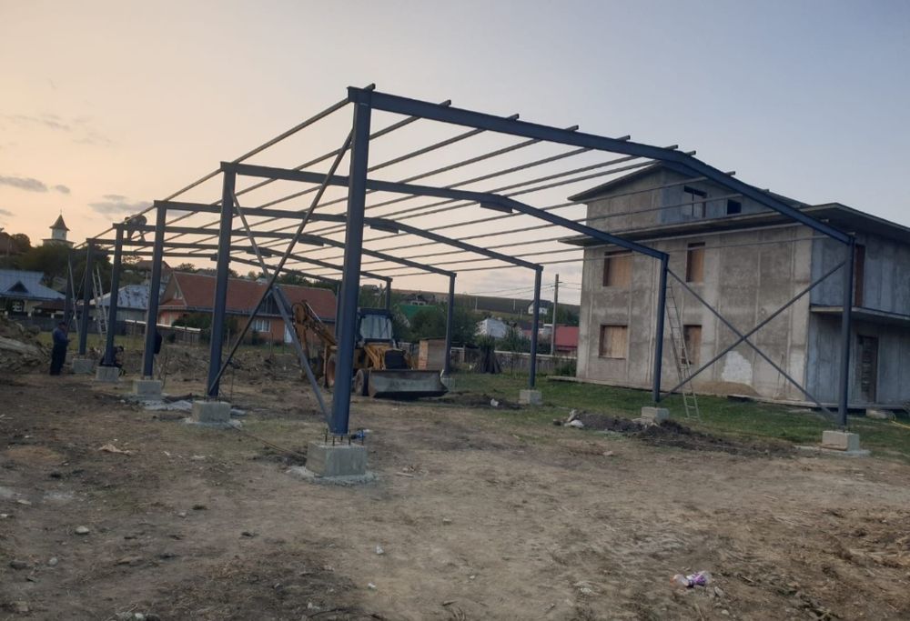 Hale și structuri metalice