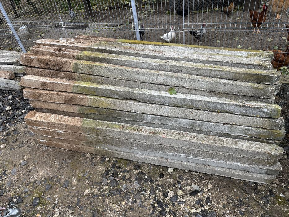 Stalpi beton 8x8x220 cm