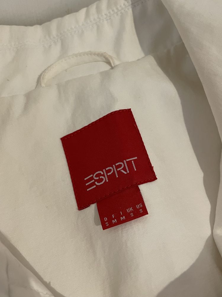 Пролетно Яке ESPRIT