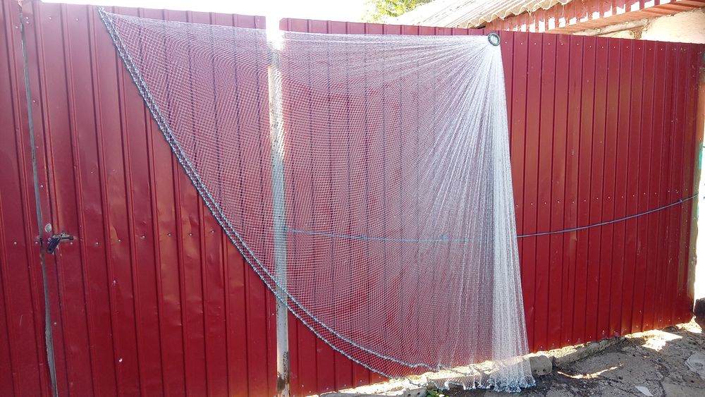 Prostovol cu ochiul mic