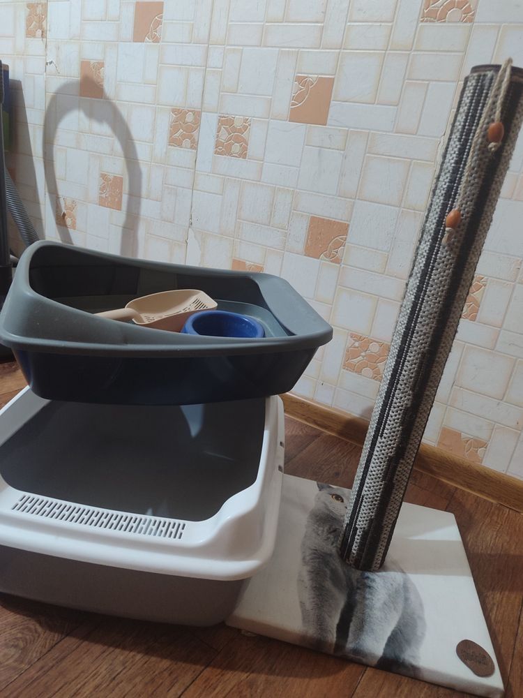 Продам 2 лотка для котов и когтеточку