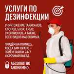 Дезинфекция /Дизинфекция  клоп таракан Dizinfeksiya Dizenfeksiya klapa