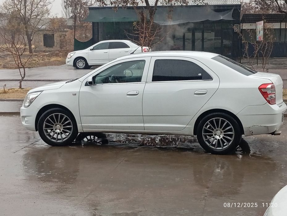 Saka diska baloni bilan