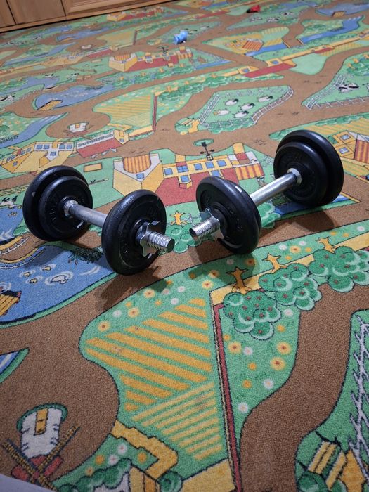 Gantere 250 lei negociabil