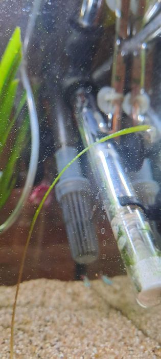 Vand acvariu 60l, complet (&accesorii)