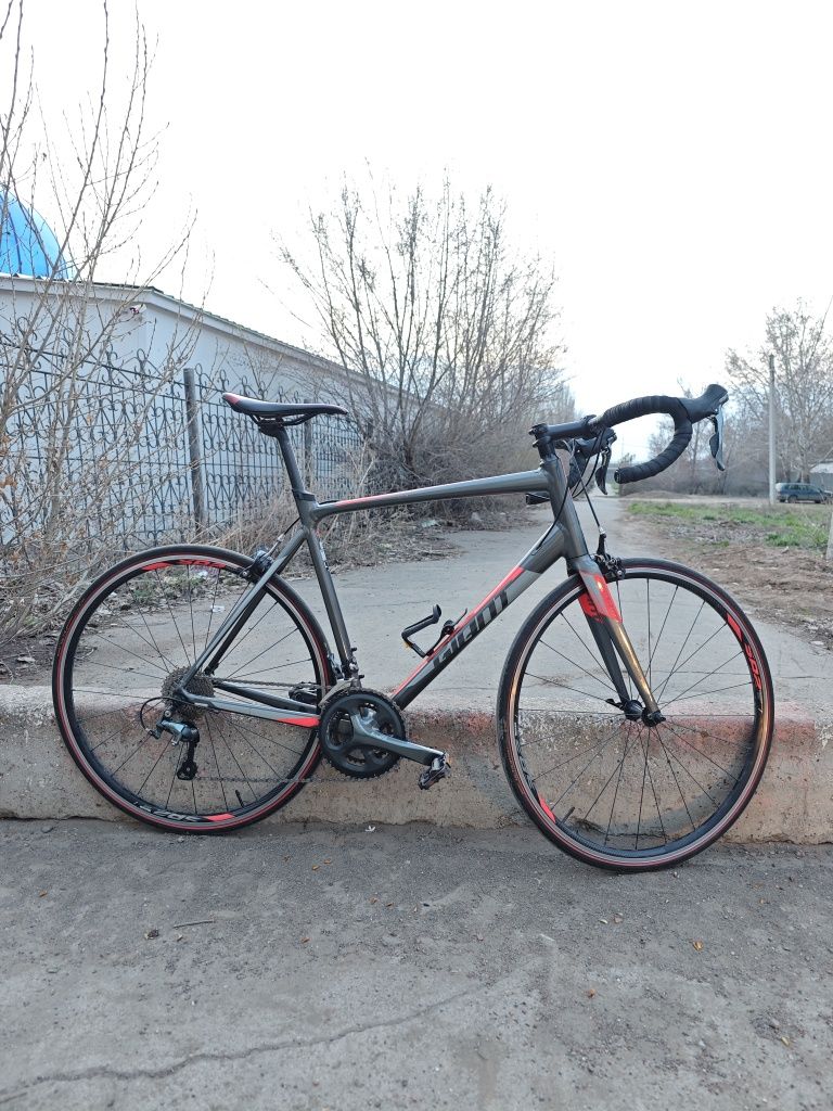 Велосипед giant CONTEND  CONTEND SL 2