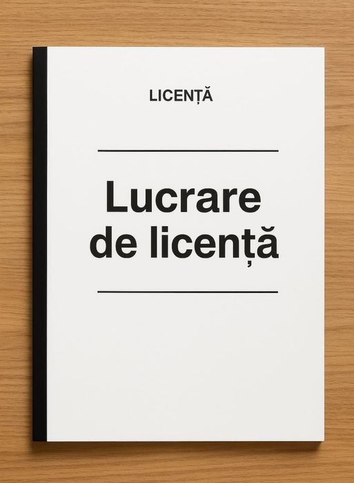 Consultanță si îndrumare în vederea redactării lucrărilor de licență