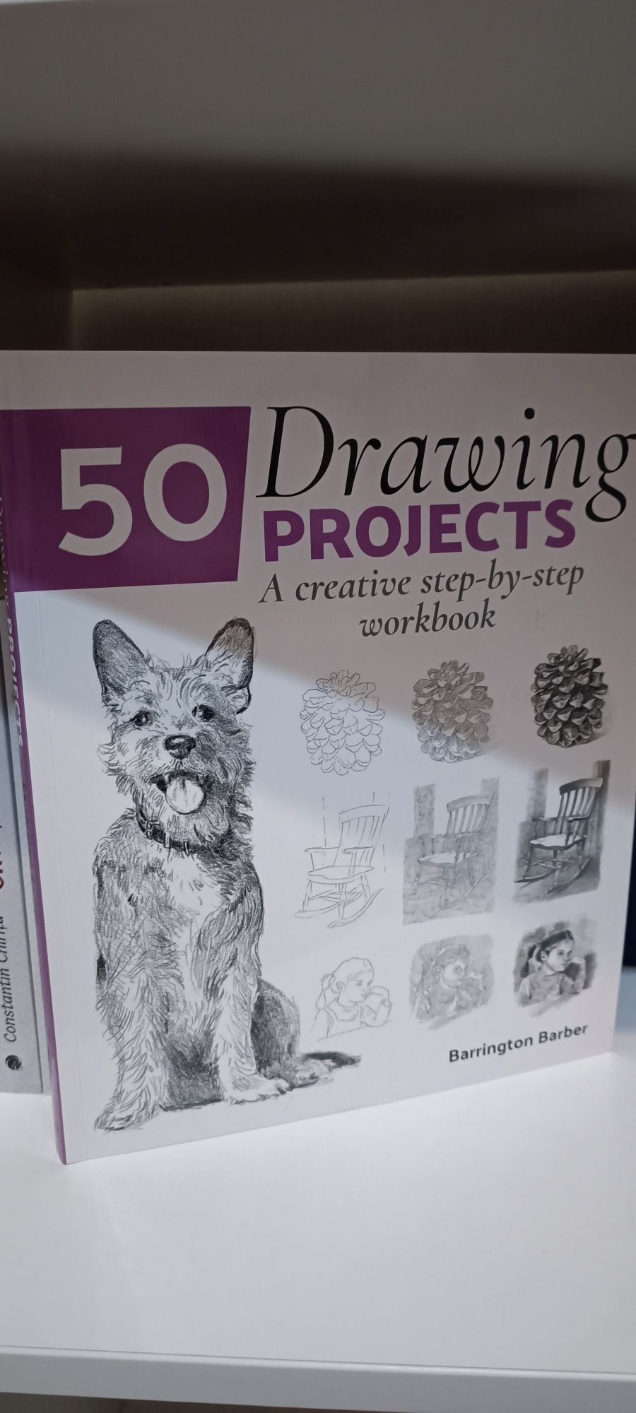 Carte 50 Drawing Projects
