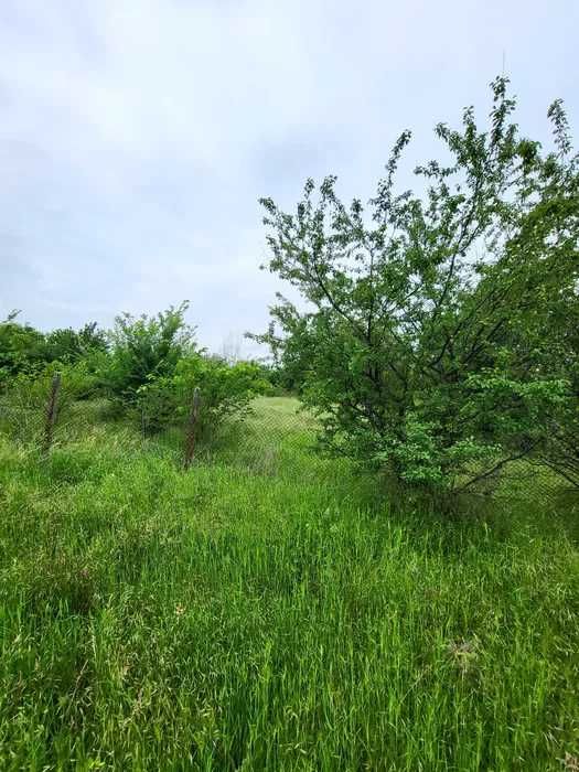 Продава се Парцел в с. Върбен, Област Пловдив - 1500 кв.м за 4 €/кв.м - Снимка #2