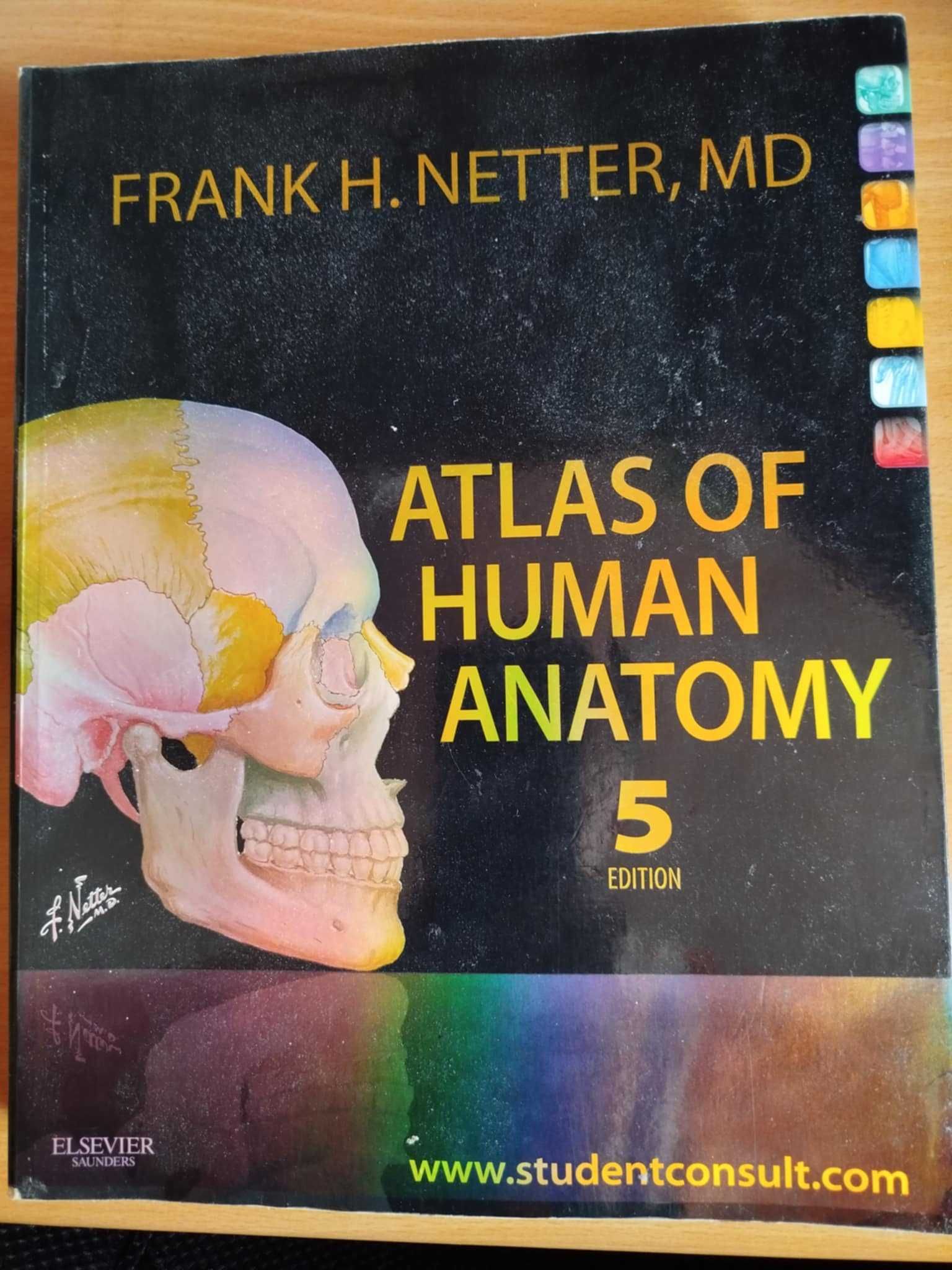 atlas de anatomie
