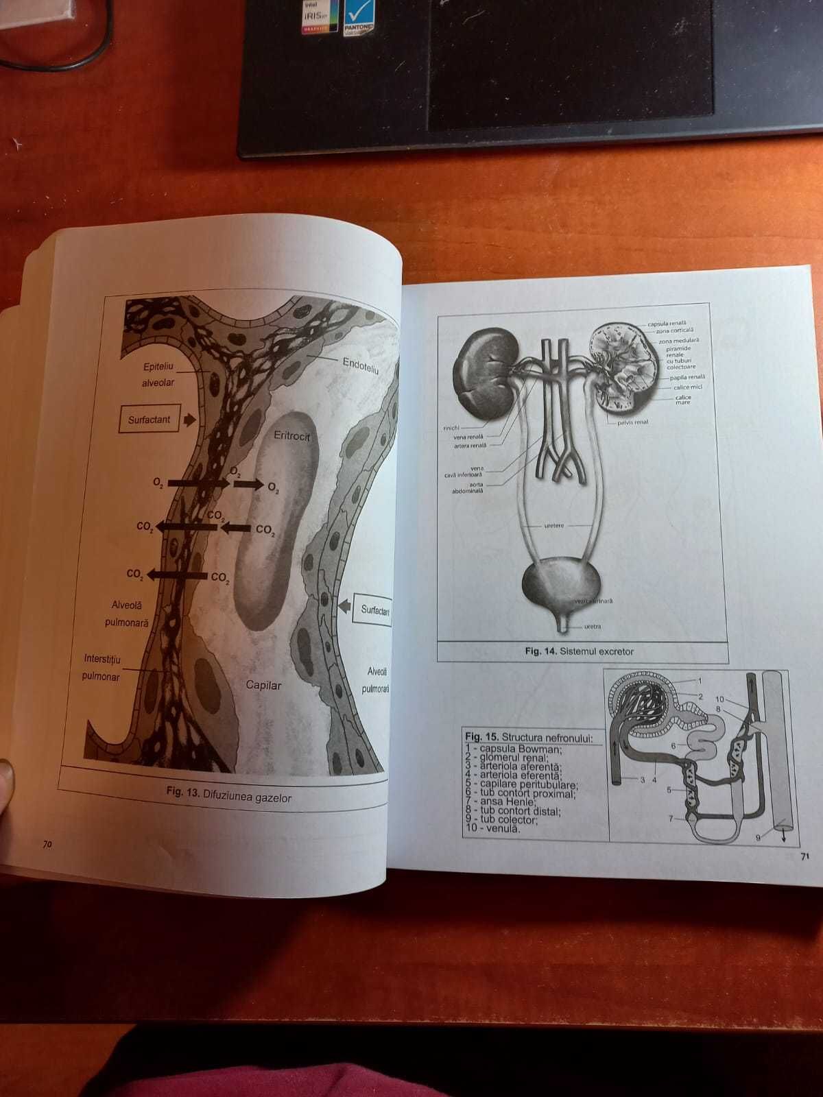 Culegere de BAC ,biologie 11-12, Niculina Badiu