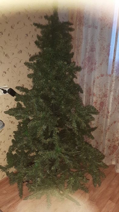 Елка. Высота 160.