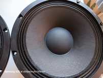 Difuzoare ND710 de 12