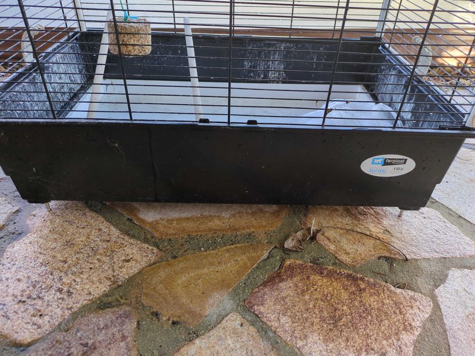 Голяма клетка, волиера, кафез за до 10 птици