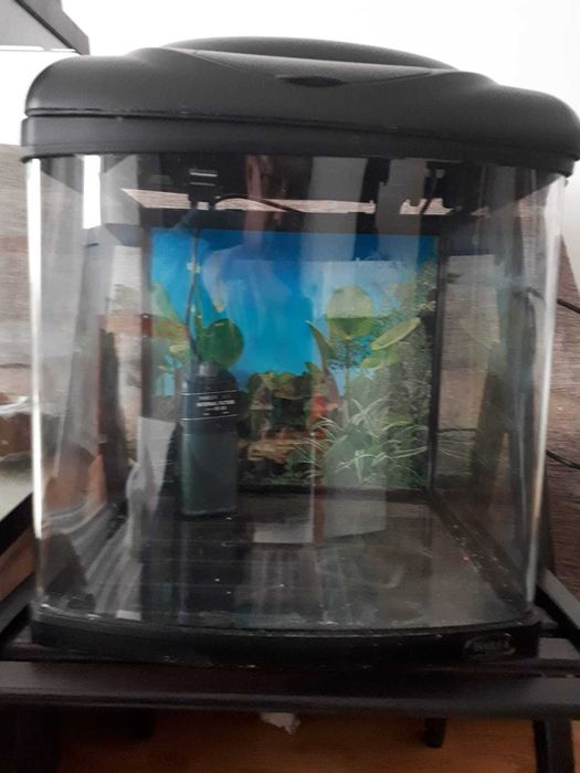 Acvariu AQUAEL 120 l , filtru intern, hranitor automat, acvariu 30l