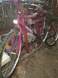Bicicletă Giannt