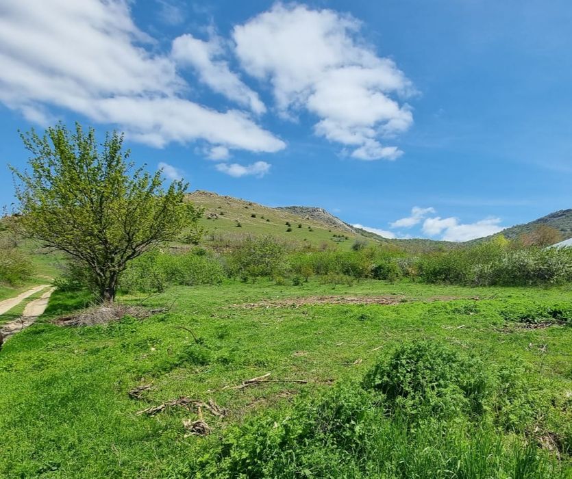 Teren intravilan în Comuna Greci – la poalele Munților Măcin