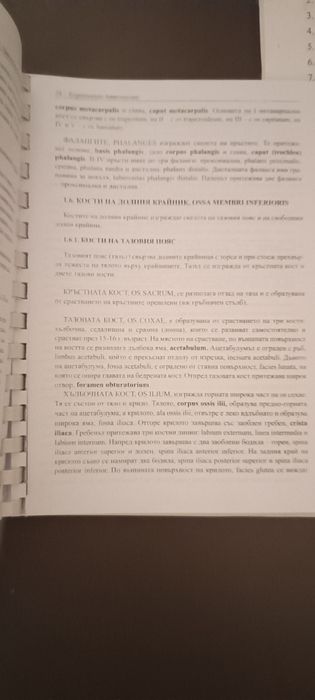 Атлас по Хистология, Репитаториум-Анатомия, Клинична лаборатория