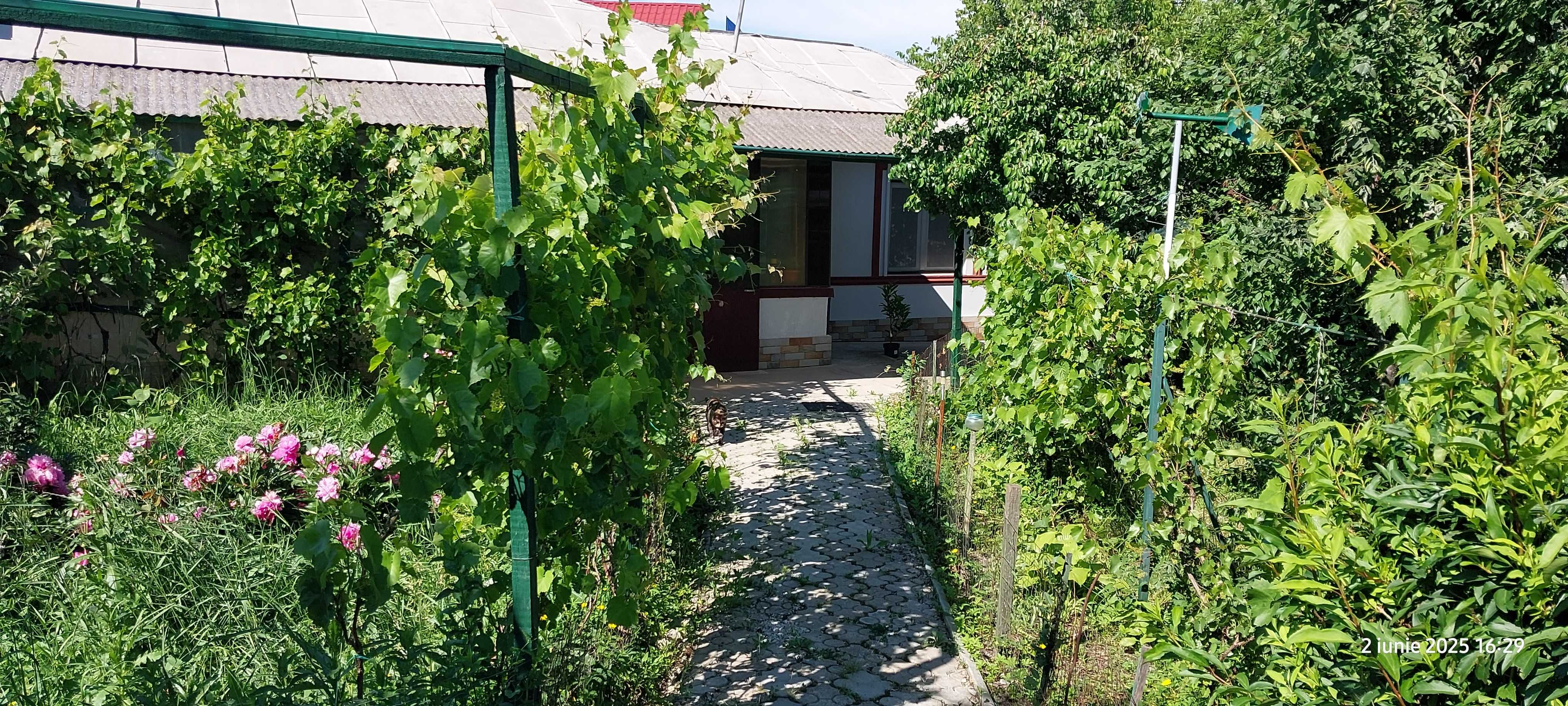 Casa si teren 1600mp gorneni gr. 100 metri de DN6  30km de pta. unirii