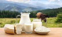 Fabrică de Lactate – Afacere la Cheie în Cluj-Napoca