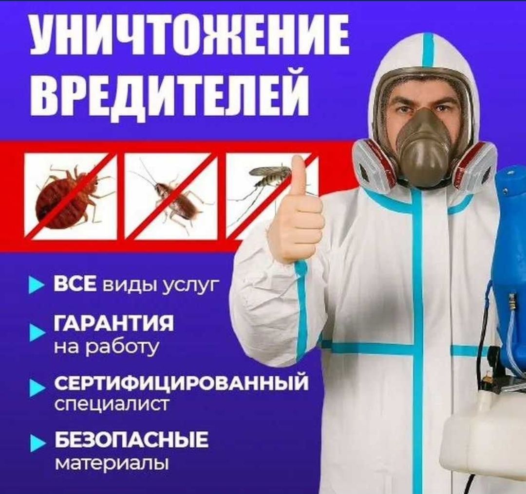 Уничтожение Тараканов