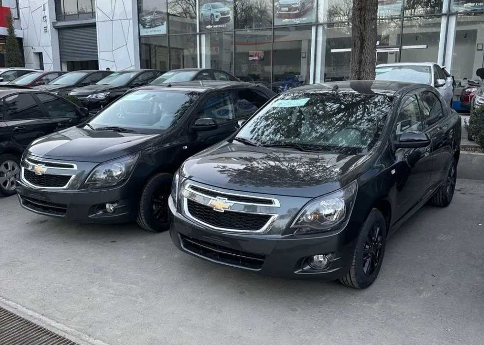 Cobalt midnight MCM GK2. 2025 super model