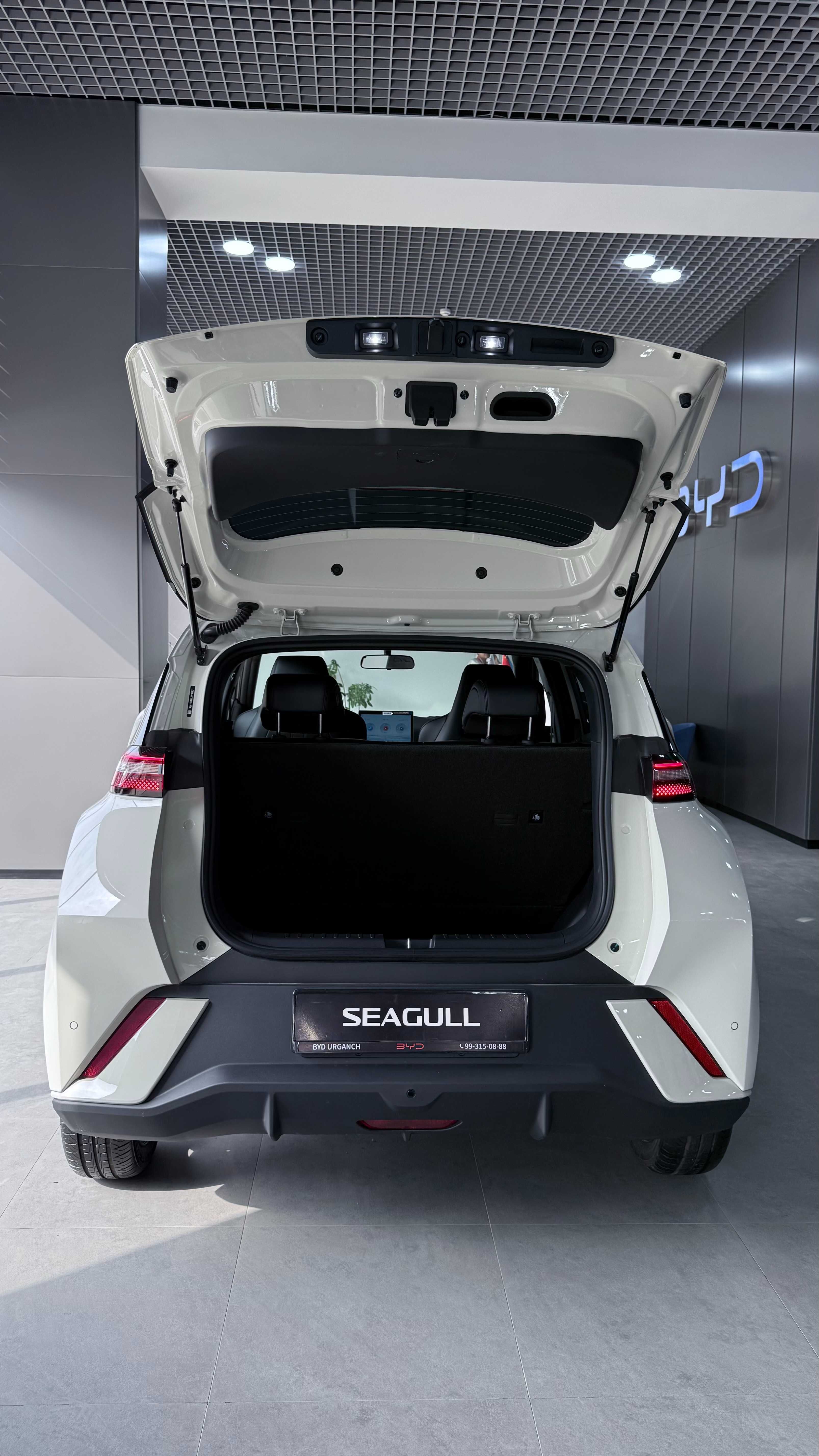 BYD Seagull 405km Full