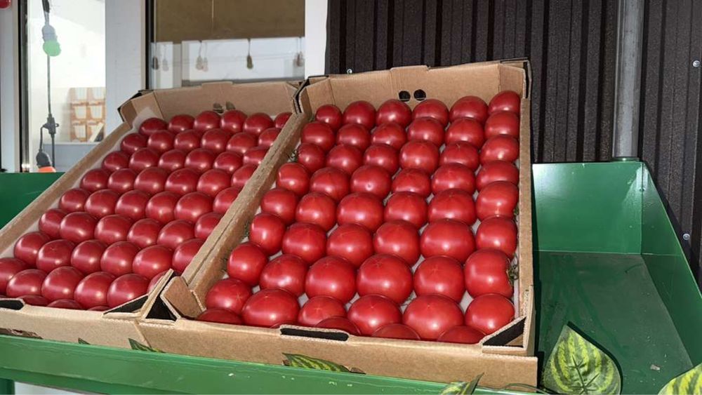 Помидоры оптом производство Казахстан