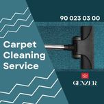 Carpet and furniture cleaning services