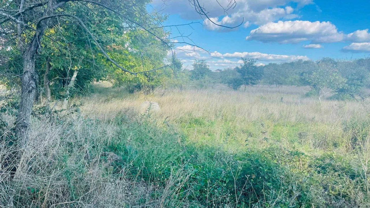 Продава се Парцел в Търговище, Вилна зона - 6082 кв.м за 23 €/кв.м - Снимка #1