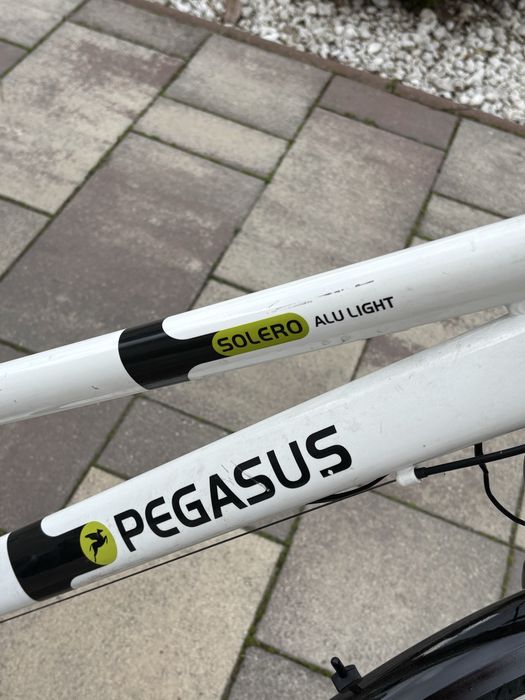 Bicicleta trekking city Pegasus de dama