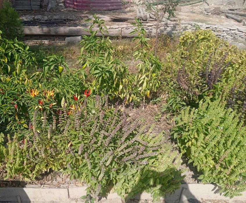 Продается участок. Кибрай 2км от ТТЗ-4 №83 Антонина