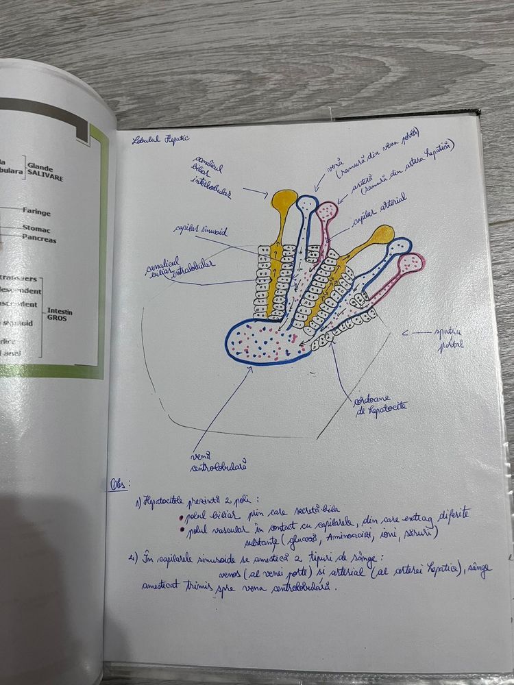 Materiale admitere medicina Biologie carte+ desene+ notite