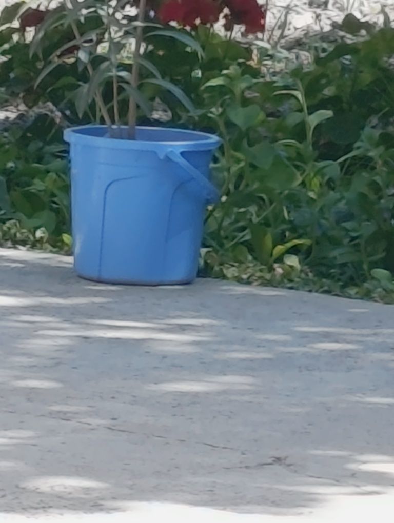 Televizor 43 talik